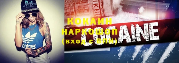 ГАЛЛЮЦИНОГЕННЫЕ ГРИБЫ Аркадак
