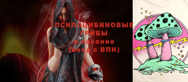 ГАЛЛЮЦИНОГЕННЫЕ ГРИБЫ Аркадак