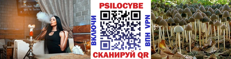 Галлюциногенные грибы Cubensis  Спасск-Дальний 